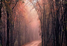 华体会体育：哈登砍24分8板8助难阻失利 出现5失误 正负值-17全场最低.