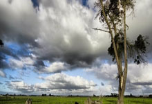 篮球——WCBA全明星周末举行校园行活动.