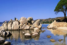 弗林蓬：最后时刻失球有些不走运；我们创造了很多机会.